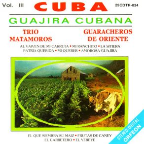 Download track Mi Querer Trio Matamoros