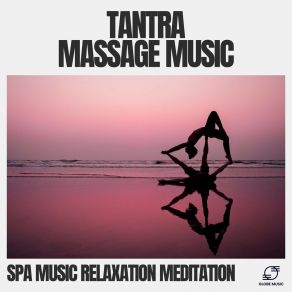 Download track Tranquil Tides Spa Music Relaxation Meditation