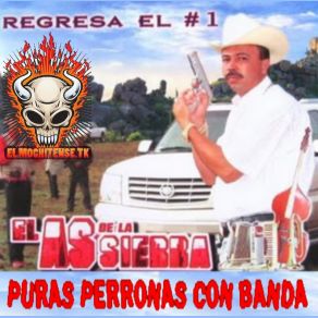 Download track Alegre Y Mujeriego El As De La Sierra