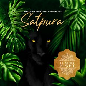 Download track Satpura (Original Mix) Pawel Prutt