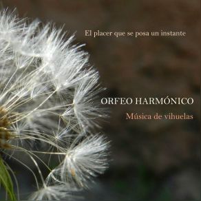 Download track Canon Orfeo Harmónico