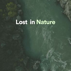 Download track Flowing River Sounds Nature Sounds