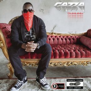 Download track Ila GazzaDJ Maphorisa, DJ Buckz, Polamo