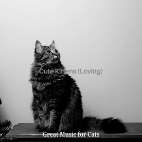 Download track Kittens - Dreams Great Music For Cats