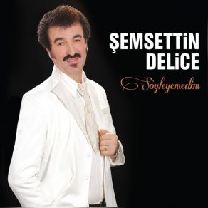 Download track Kalpsiz Şemsettin Delice