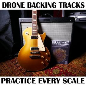 Download track B Drone Guitar Backing Track Karl Golden