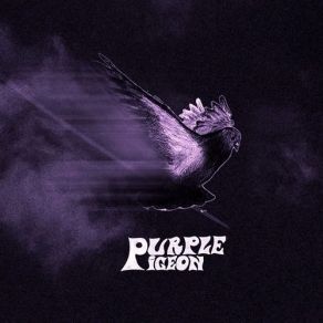 Download track Paperface Purple Pigeon