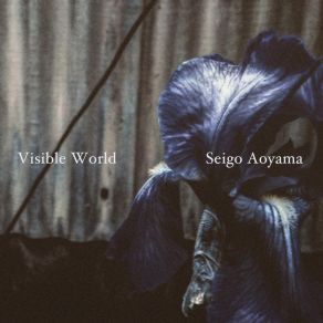 Download track Zoetrope Seigo Aoyama