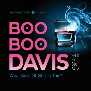 Download track Somebody's Fool Boo Boo Davis