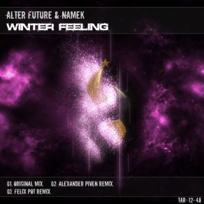 Download track Winter Feeling (Original Mix) Alter Future, Namek