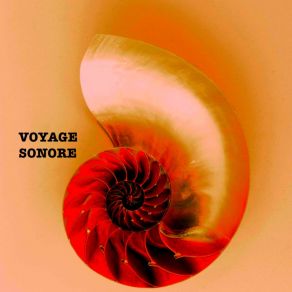 Download track Caché Dans Le Noir (Ethno Mix) Voyage Sonore