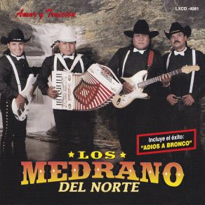 Download track Capullito De Rosa Blanca Los Medrano Del Norte