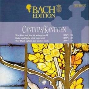 Download track Wer Dank Opfert, Der Preiset Mich BWV 17 - VI Recitativo (Basso) Johann Sebastian Bach