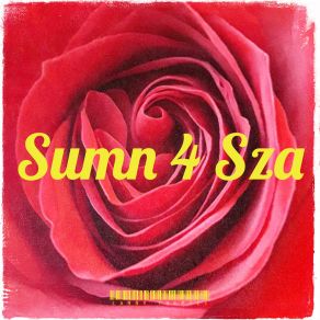 Download track Sumn 4 Sza Larry Thepoet