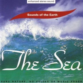 Download track The Sea - Surf David Sun