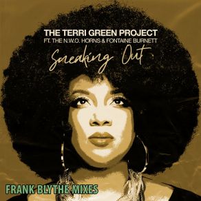 Download track Sneaking Out (Frank Blythe Funk U Radio Rub) Frank Blythe