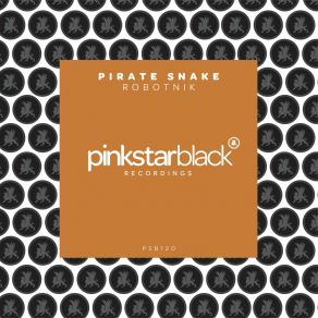 Download track Robotnik (Original Club Mix) Pirate Snake