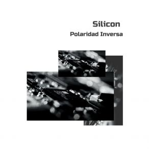 Download track Silicon Polaridad Inversa