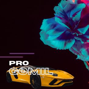 Download track With You My Girl Pro Gomil