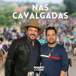 Download track Nasci Pra Ser Vaqueiro Amando E César