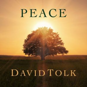 Download track The Promise Of Spring David Tolk