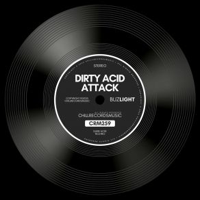 Download track Warp Acid (Original Mix) Buzlight