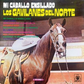 Download track Las Nubes Los Gavilanes Del Norte