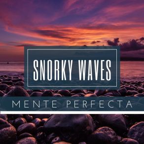 Download track Nos Conocimos SNORKY WAVES