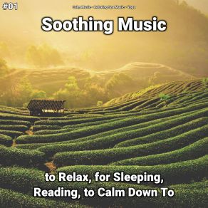 Download track Soothing Music, Pt. 73 Yoga