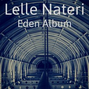 Download track Indelicato (Original Mix) Lelle Nateri