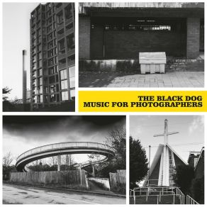 Download track For The Love Of Tish The Black Dog