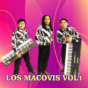 Download track Ay Que Será LOS MACOVIS