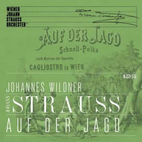 Download track Radetzky Marsch, Op. 228 Vienna Johann Strauss Orchestra, Barbara Laister-Ebner