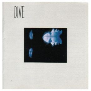 Download track The Pilot DiVe