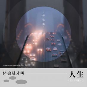 Download track 体会过才叫人生 (伴奏) 柴愷能