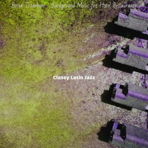 Download track Joyful Music For Hotel Restaurants Classy Latin Jazz