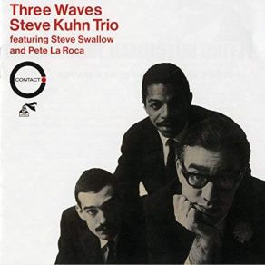 Download track Why Did I Choose You Steve Kuhn Trio