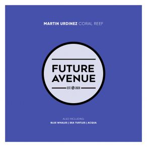 Download track Sea Turtles Martin Urdinez