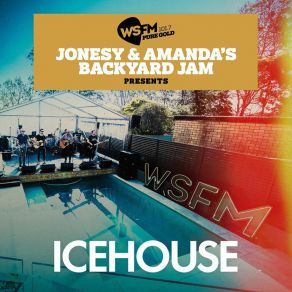 Download track Great Southern Land (Live) Icehouse