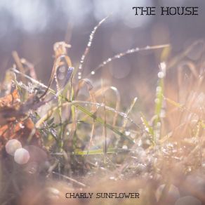 Download track The White Wall Charly Sunflower