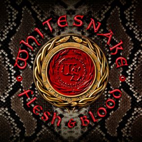 Download track Good To See You Again Whitesnake