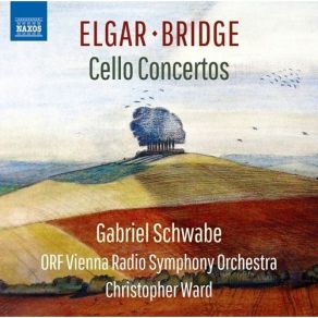 Download track 8. Bridge: Oration Concerto Elegiaco  Allegro Giusto  Gabriel Schwabe, ORF Vienna Radio Symphony Orchestra