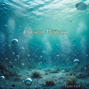 Download track Crystal Waters Lem Tief