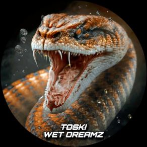 Download track Wet Dreamz (Original Mix) Toski