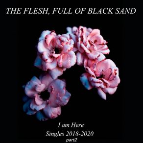 Download track Lost In A Haze (I Can't Concentrate) The Flesh Full Of Black Sand