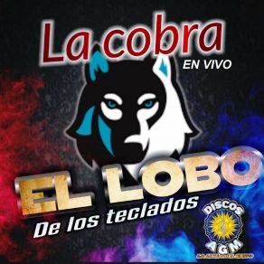 Download track Isla Providencia El Lobo De Los Teclados