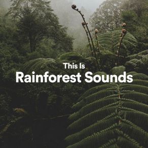 Download track This Is Rainforest Sounds, Pt. 29 Rainforest Sounds