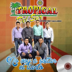 Download track Alicia Tropical Del Sur De Epifanio Gallardo