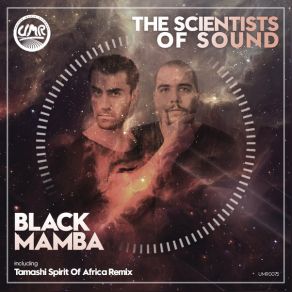 Download track Black Mamba (Tamashi Spirit Of Africa Remix) Scientists Of Sound