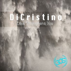 Download track Love Strengthens You (Bklyn Acid Dub Mix) DiCristino